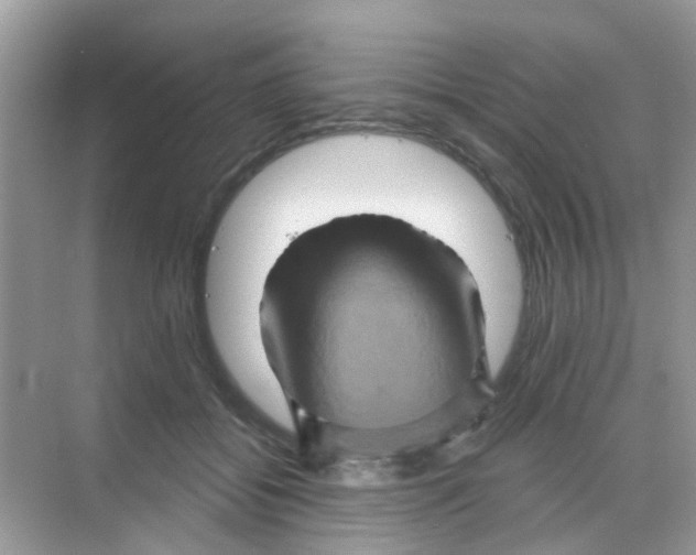 X0000068270556200605121849