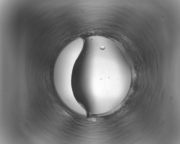 X0000068270558200605121849