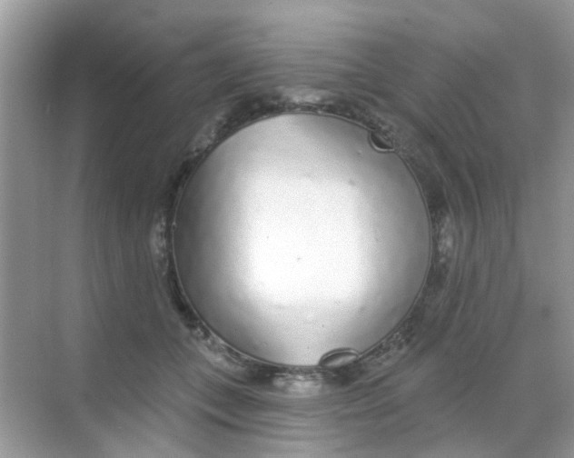 X0000068270559200605121849