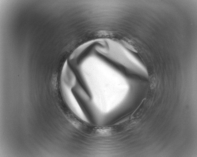 X0000068270560200605121849