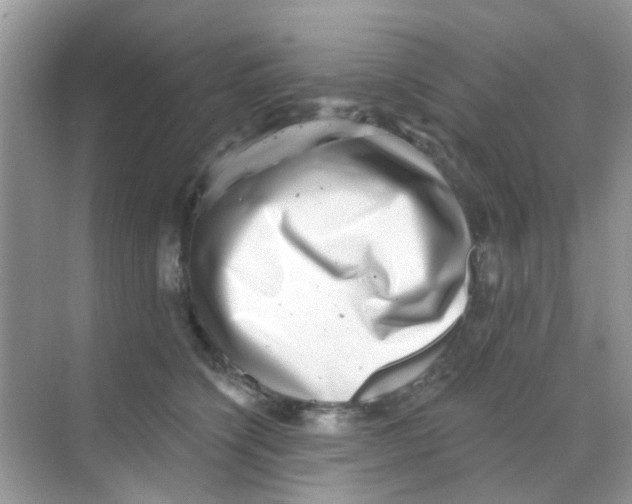 X0000068270564200605121849