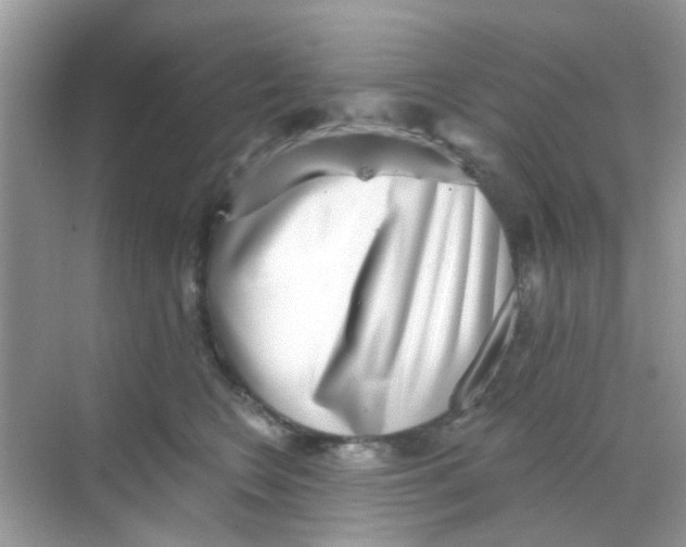 X0000068270566200605121849