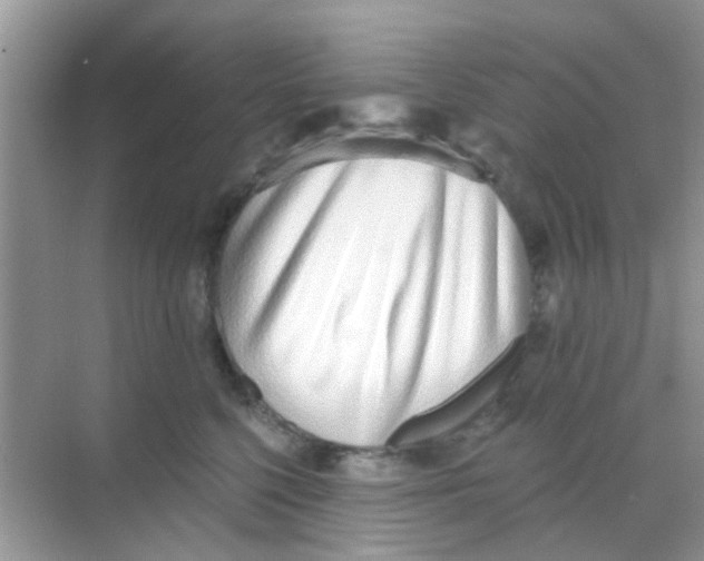 X0000068270568200605121849