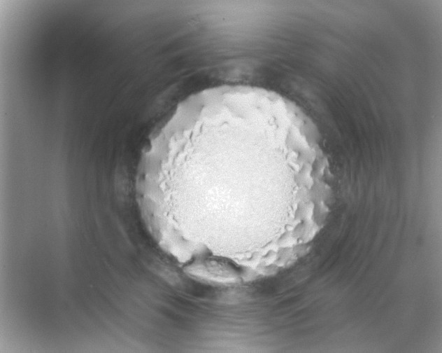 X0000068270569200605121849