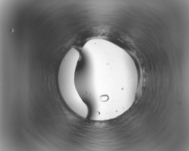 X0000068270570200605121849