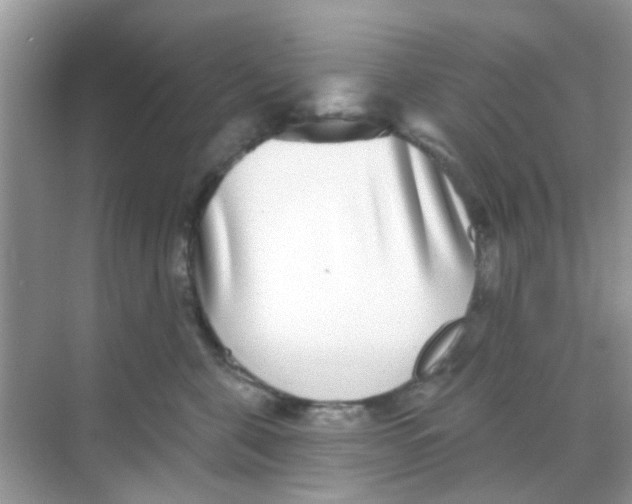 X0000068270571200605121849