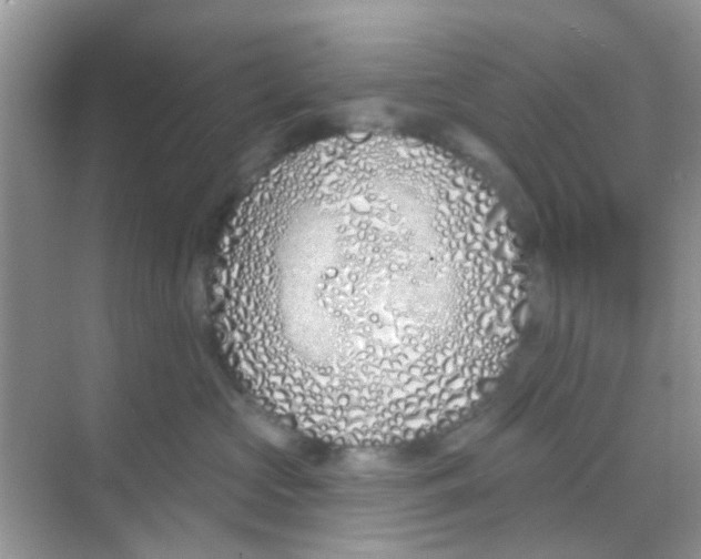 X0000068270573200605121849