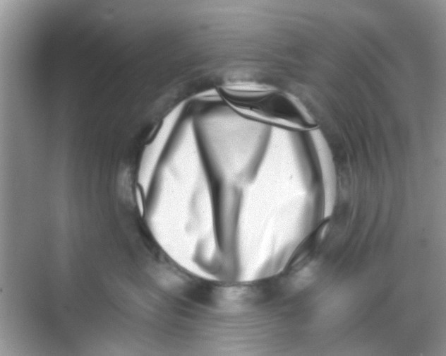 X0000068270575200605121849