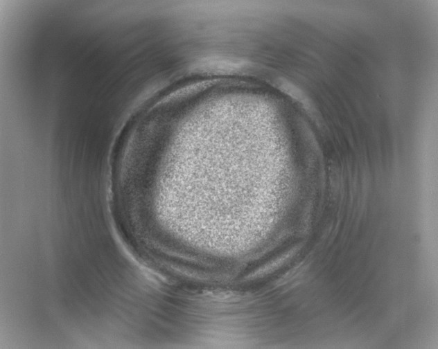 X0000068270582200605121848