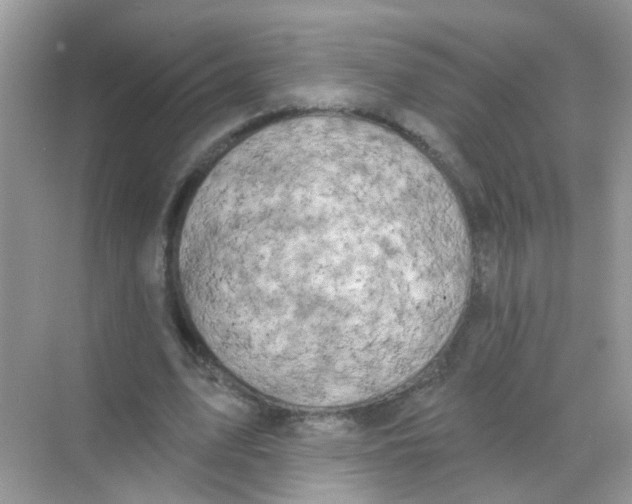 X0000068270583200605121848