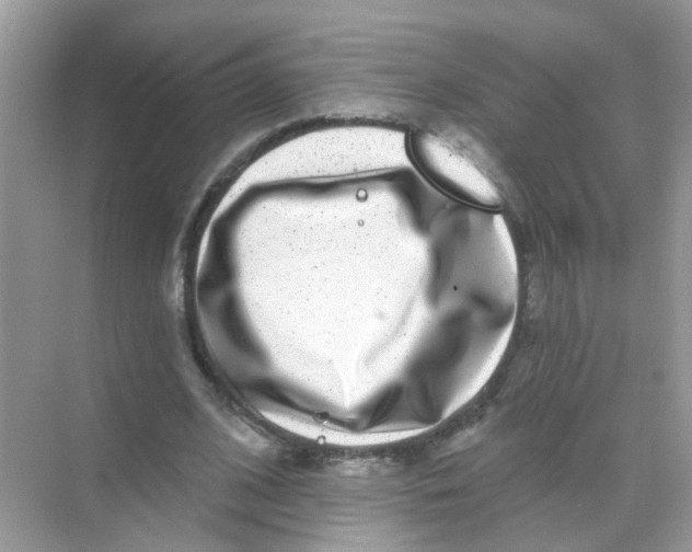 X0000068270584200605121848