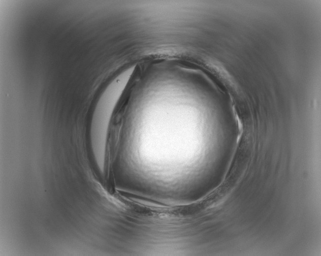 X0000068270585200605121848