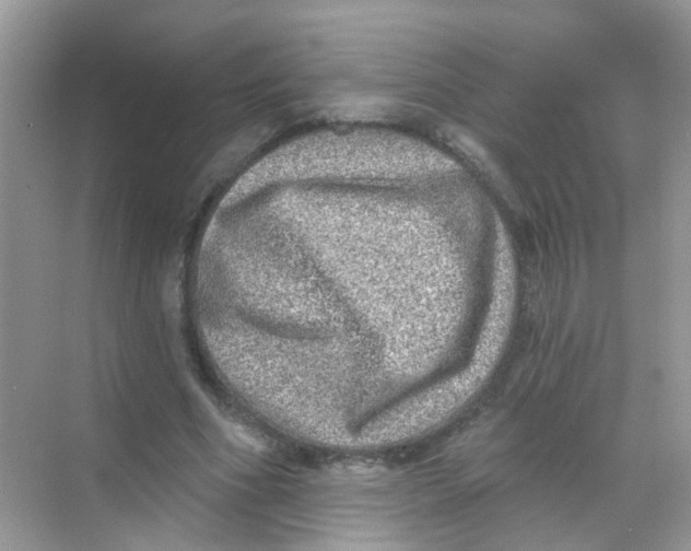 X0000068270586200605121848