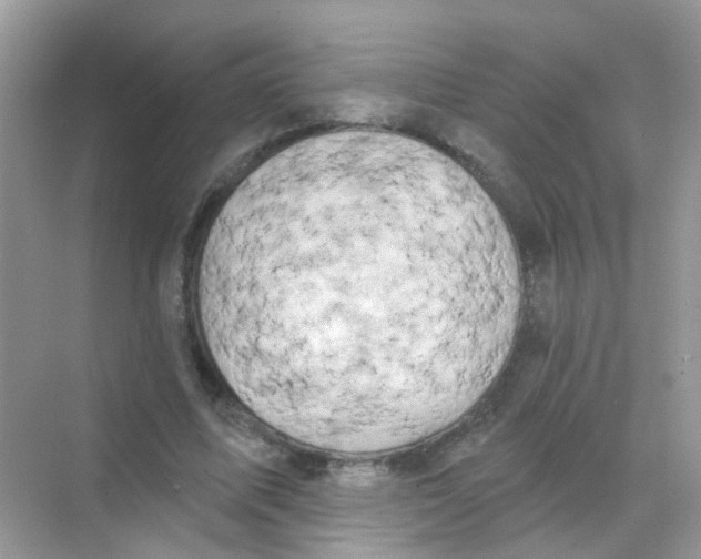 X0000068270587200605121848