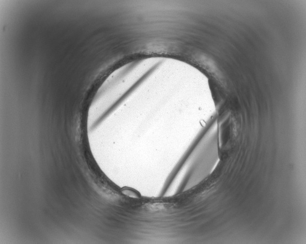 X0000068270588200605121848