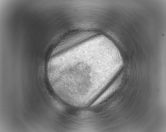 X0000068270590200605121848