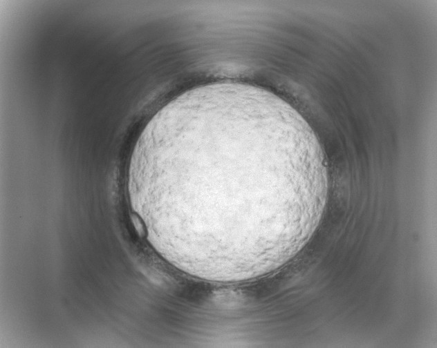 X0000068270591200605121848