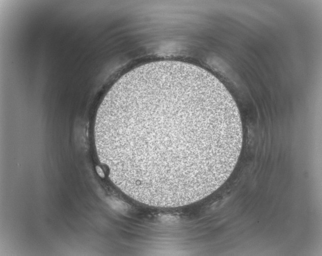 X0000068270592200605121848