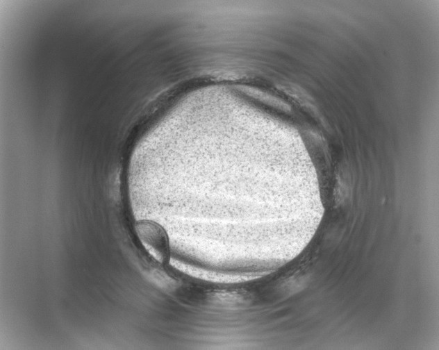 X0000068270596200605121848