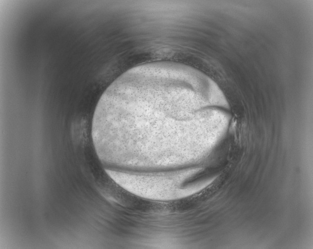 X0000068270598200605121848