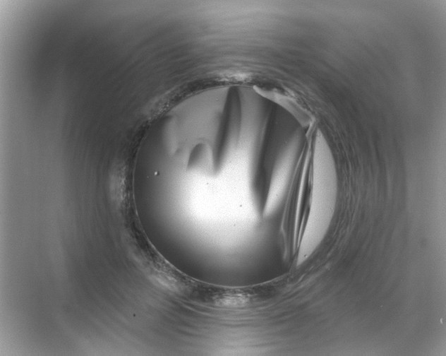 X0000068270600200605121848