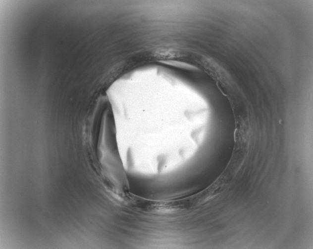 X0000068270601200605121848