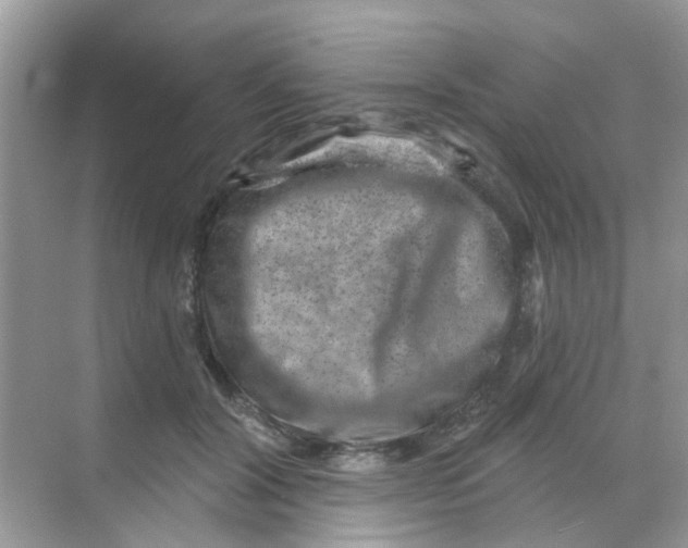 X0000068270604200605121848