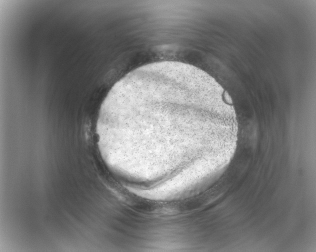 X0000068270610200605121848