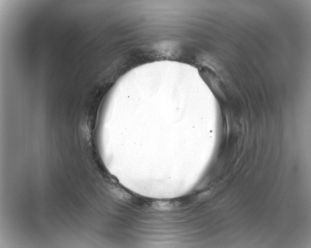 X0000068270613200605121848