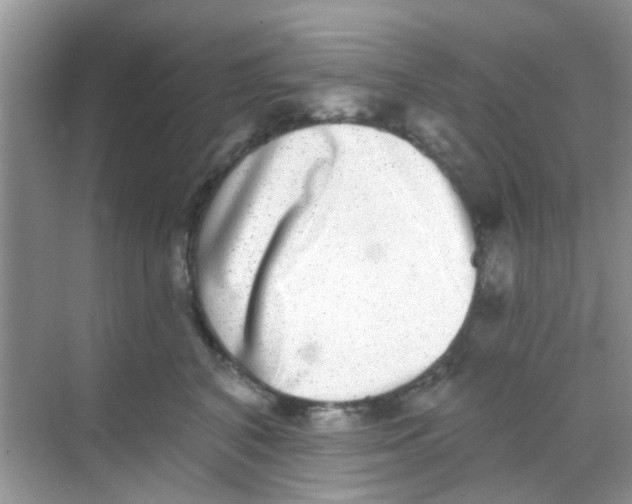 X0000068270616200605121848