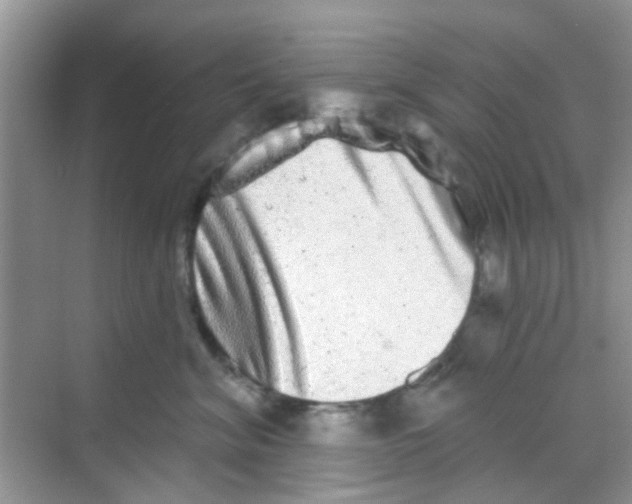 X0000068270620200605121848