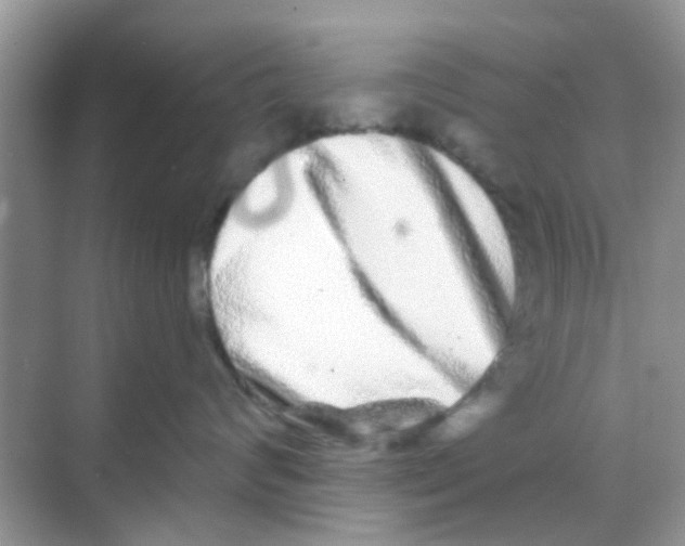 X0000068270624200605121847