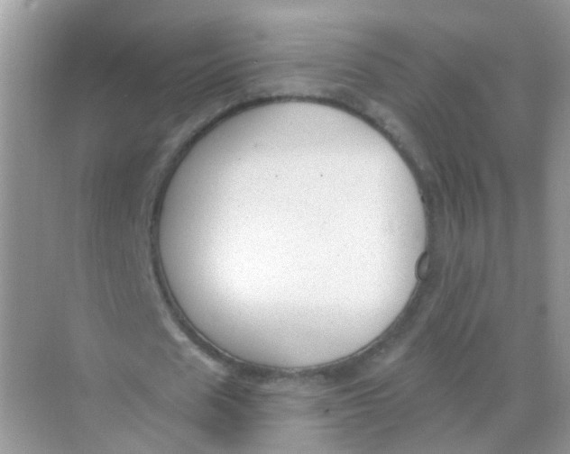 X0000068270625200605121847