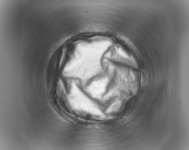 X0000068270627200605121847