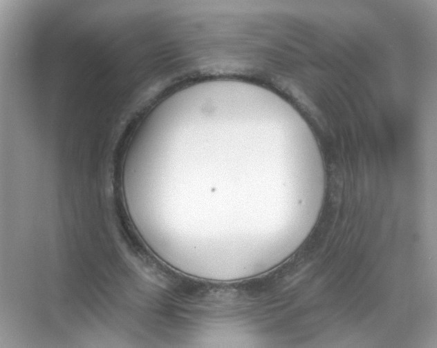 X0000068270631200605121847