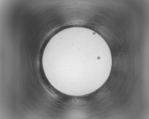 X0000068270632200605121847