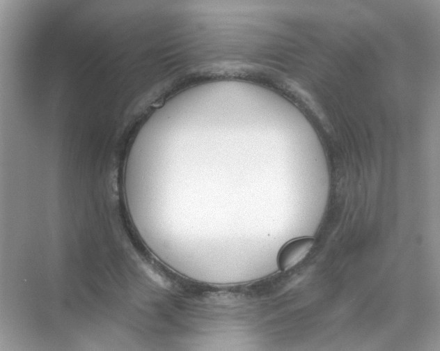 X0000068270633200605121847