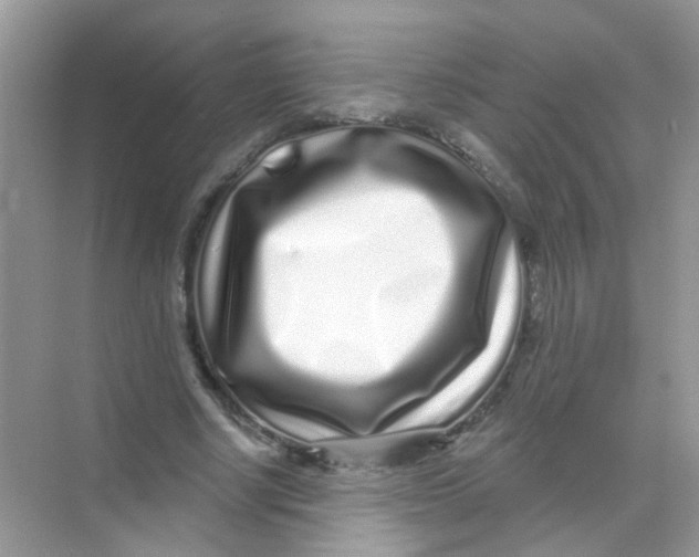 X0000068270634200605121847