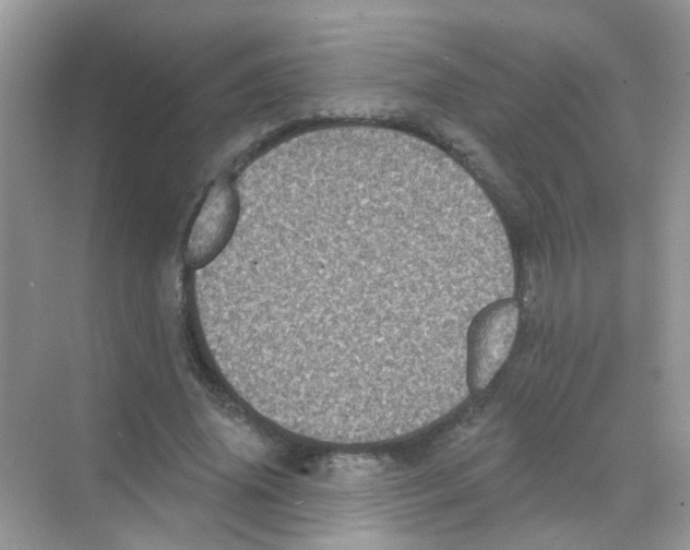 X0000068270636200605121847