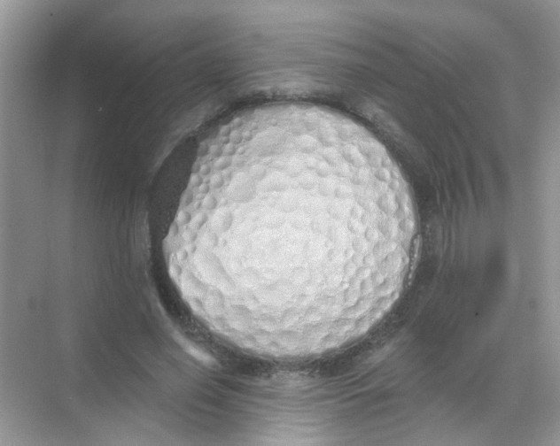 X0000068270638200605121847