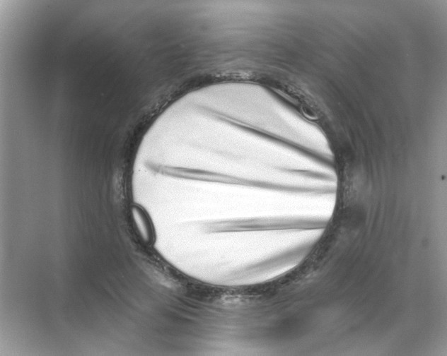 X0000068270641200605121847