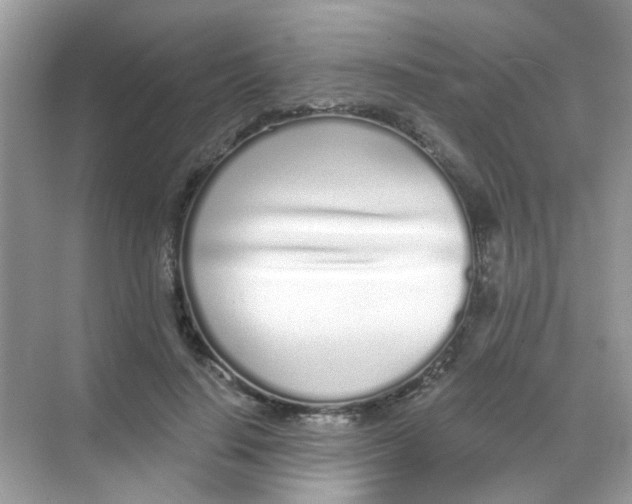 X0000068270644200605121847