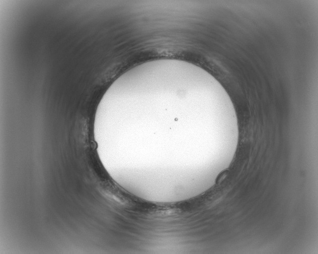 X0000068270646200605121847