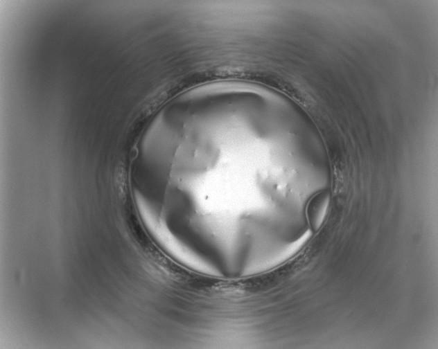 X0000068270648200605121847