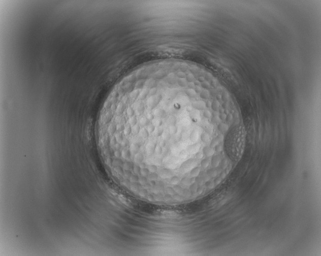 X0000068270649200605121847