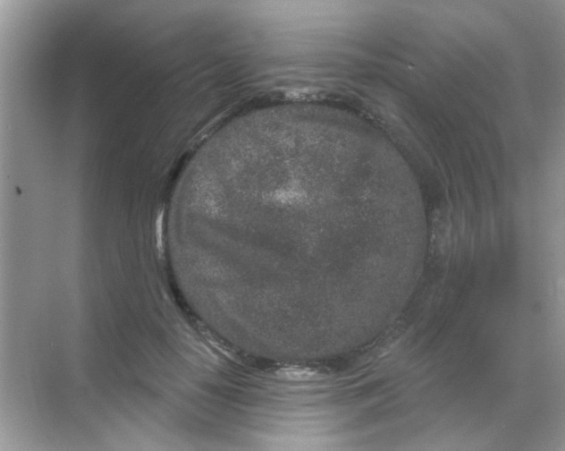 X0000068270650200605121847