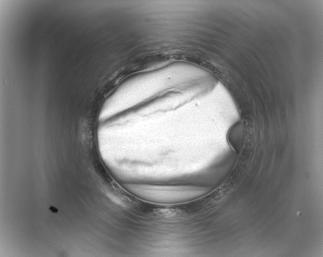 X0000068270654200605121847