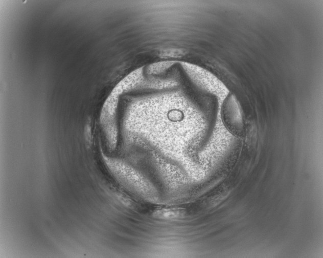 X0000068270655200605121847