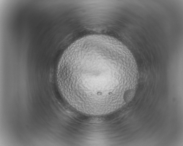 X0000068270656200605121847