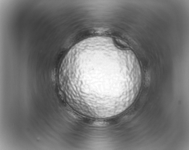 X0000068270657200605121847